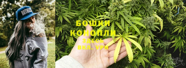 крисы Балабаново