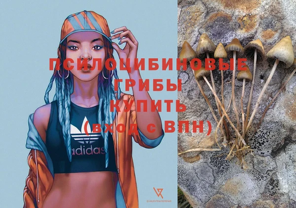 крисы Балабаново