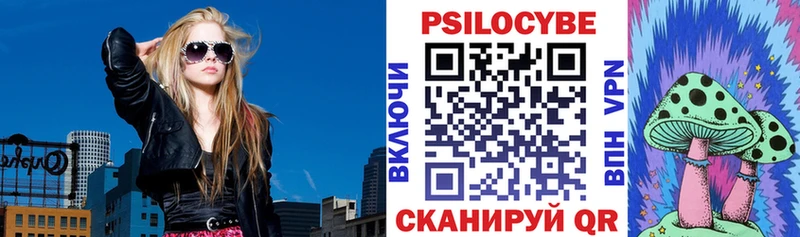 ссылка на мегу онион  Чудово  Псилоцибиновые грибы прущие грибы  купить  сайты 